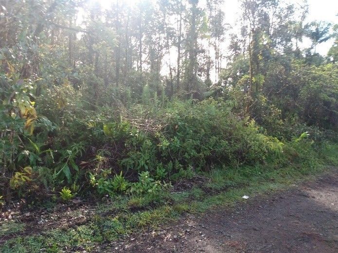 13 Paradise Ct, Kurtistown, HI 96760 Trulia