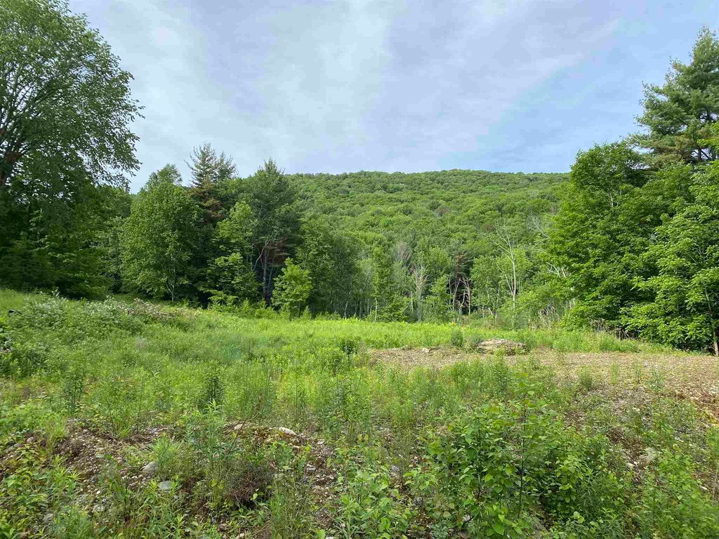 40 Mountain Road, Middletown Springs, VT 05757 Trulia