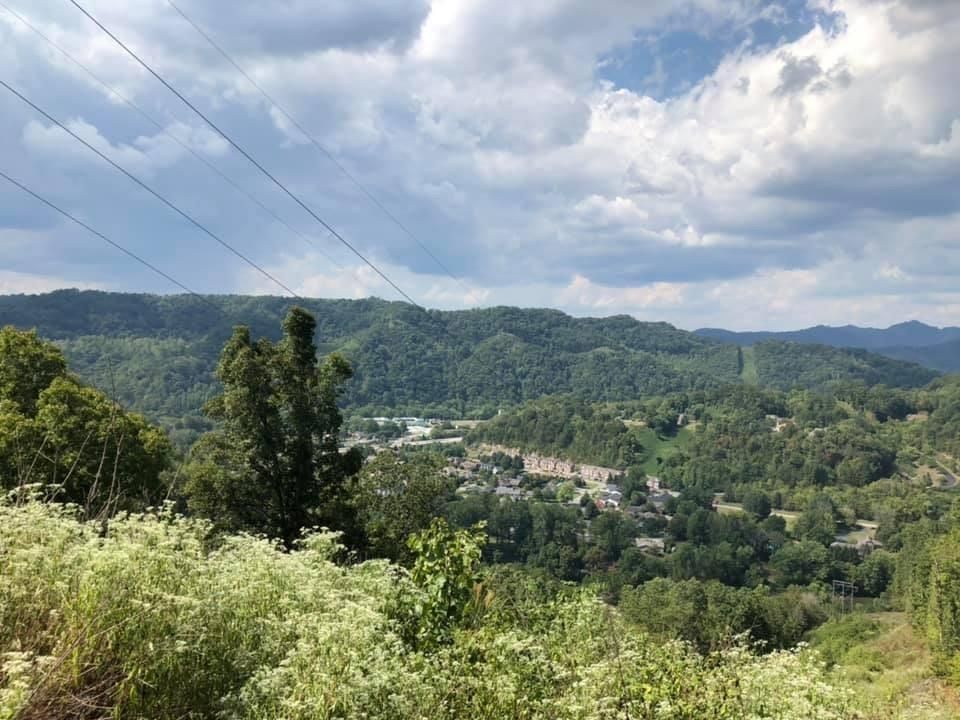 1 Coal Hollow Rd, Pikeville, KY 41501 Trulia