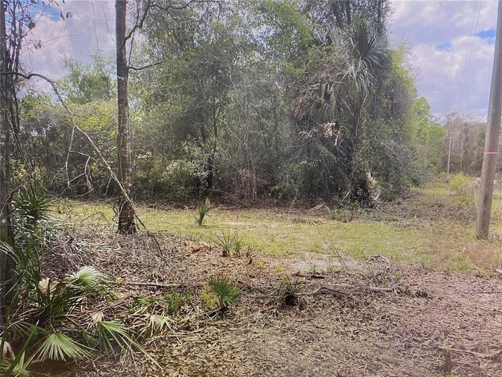 NE 73rd Ter, Citra, FL 32113 Trulia