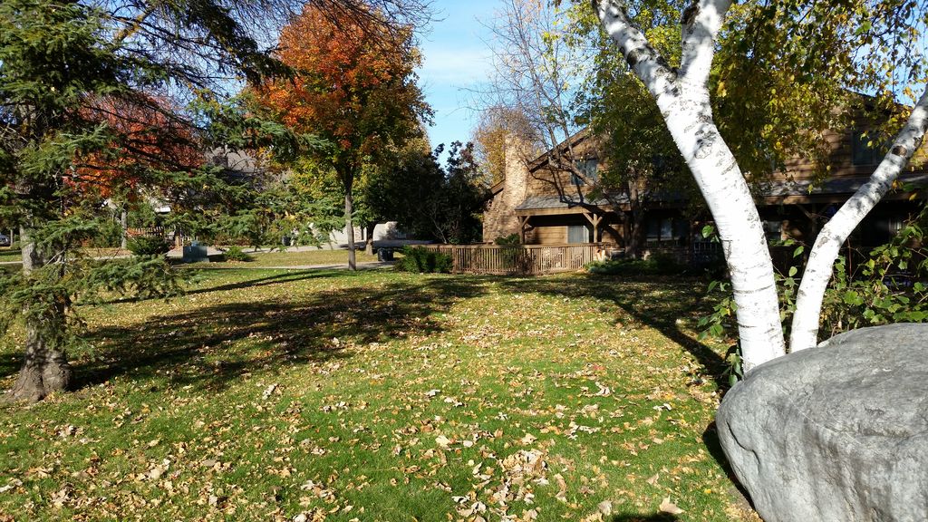 14390 Heywood Ave 14390, Saint Paul, MN 55124 Townhouse for Sale