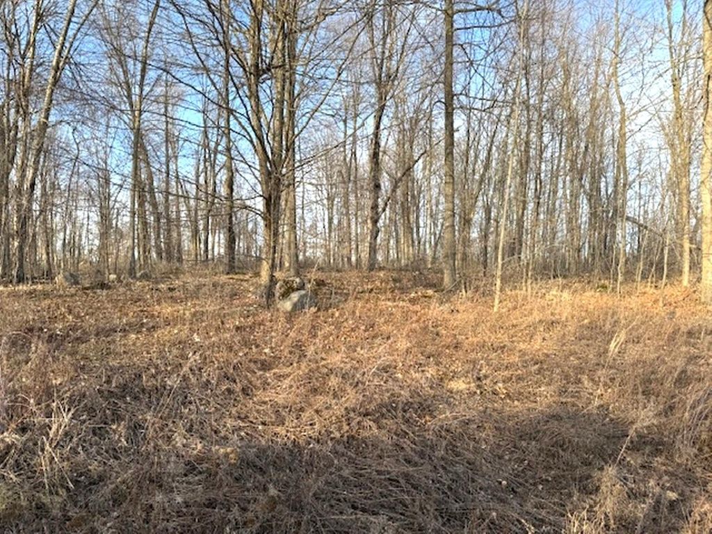 Lot 1 Thorn Apple Dr, Wittenberg, WI 54499 MLS 205670 Trulia