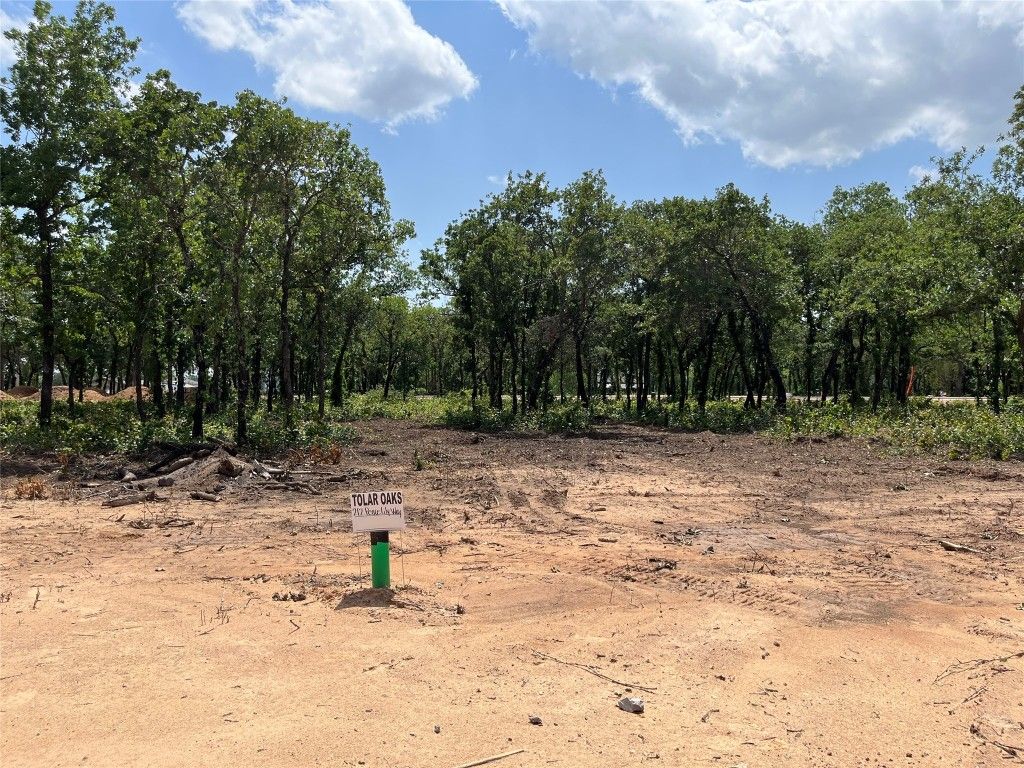 212 Peace Lily Way, Tolar, TX 76476 MLS 20333787 Trulia