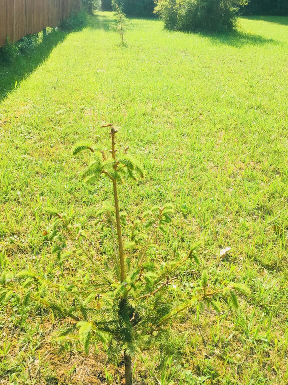 1795 Allen Rd, Kimball, MI 48074 Trulia