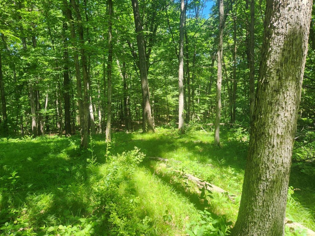 Burgi Rd, Hudson, NY 12534 MLS 153364 Trulia