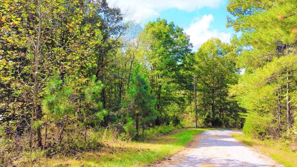 Fire Tower Rd, Erin, TN 37061 Trulia