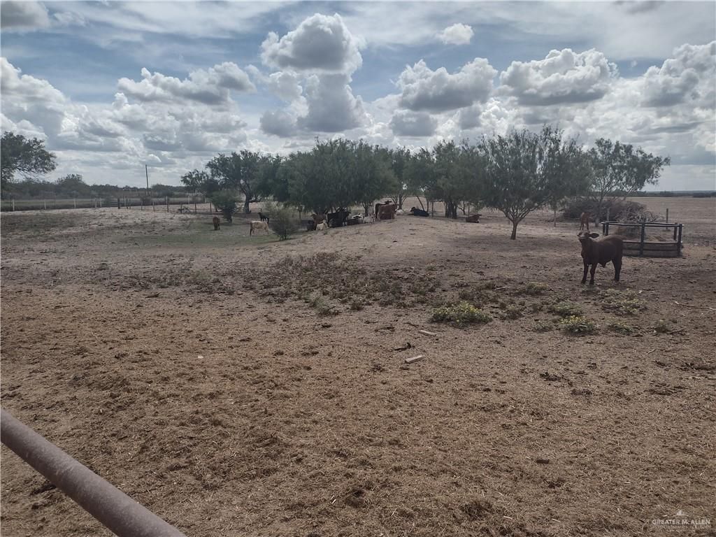 El Conejo Rd, San Isidro, TX 78588 Trulia