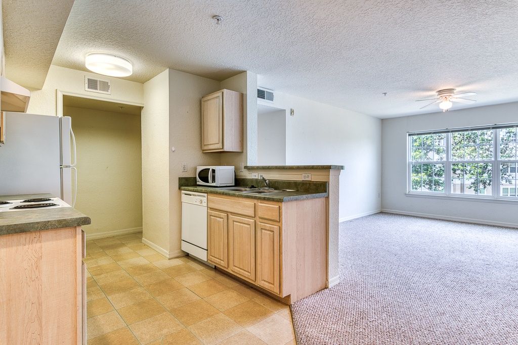 901 W 19th St 3307 Panama City - Da81554164f85e06a31e37b43367c9f1 Full
