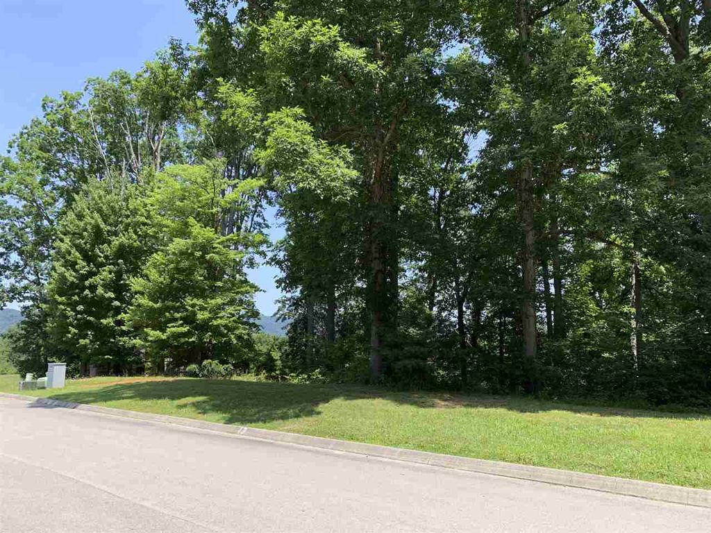 1970 Turners Landing Rd, Russellville, TN 37860 Trulia