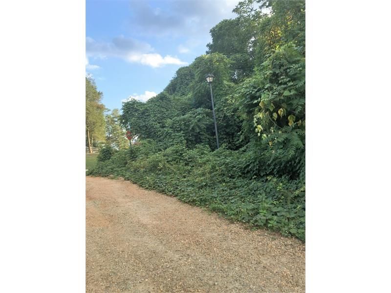 Renee Rd, Pendergrass, GA 30567 Trulia