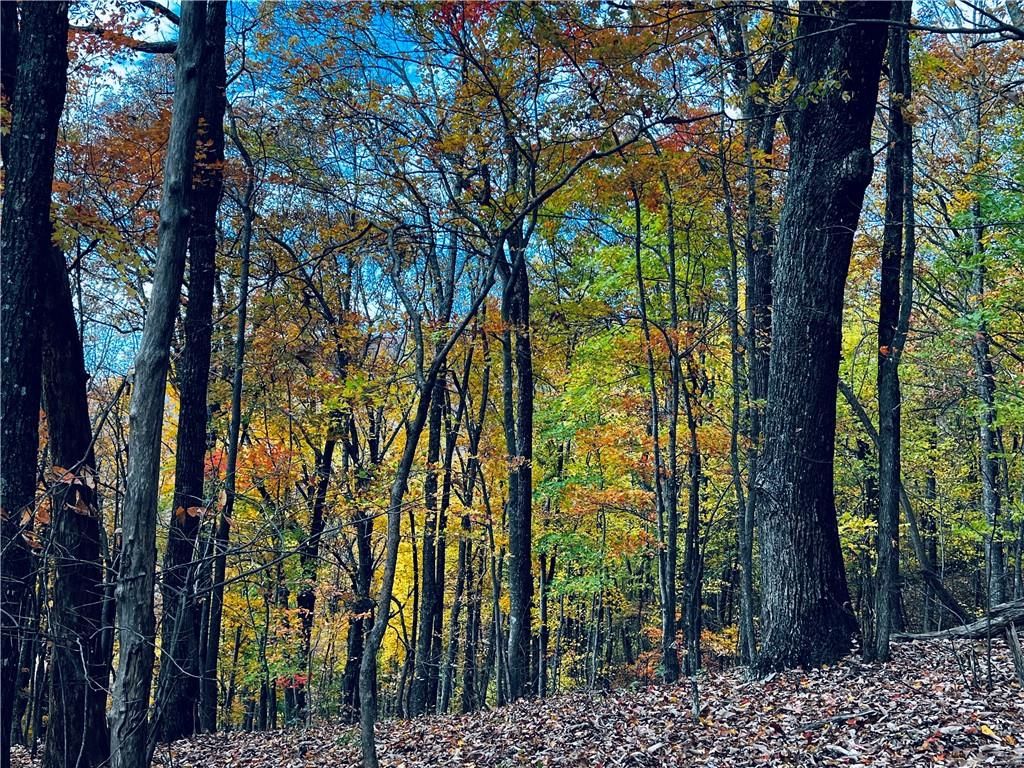 Lot 4546 Sassafras Mountain Trl, Jasper, GA 30143 Trulia