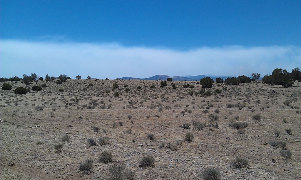 Windsor Valley Ranch Hwy 61, Concho, AZ 85924 Trulia