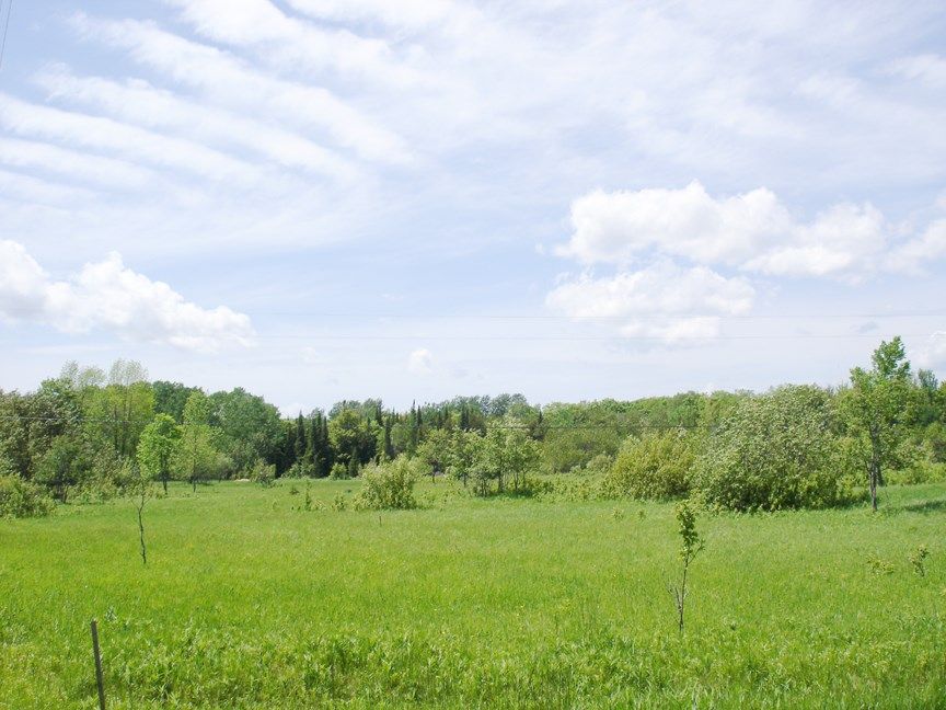 TBD co Rd 495, Rapid River, MI 49878 Trulia