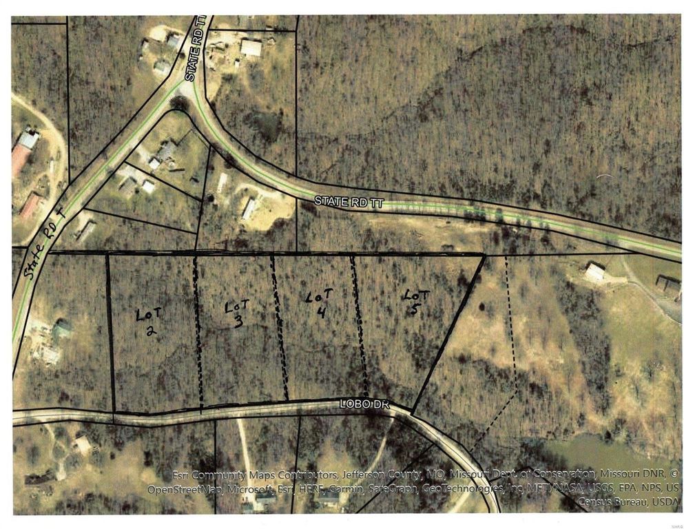 Lobo Dr 2, Festus, MO 63028 Trulia