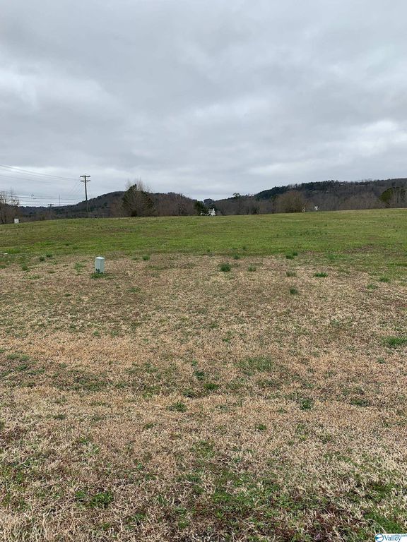 Eliza Ln, Guntersville, AL 35976 Trulia