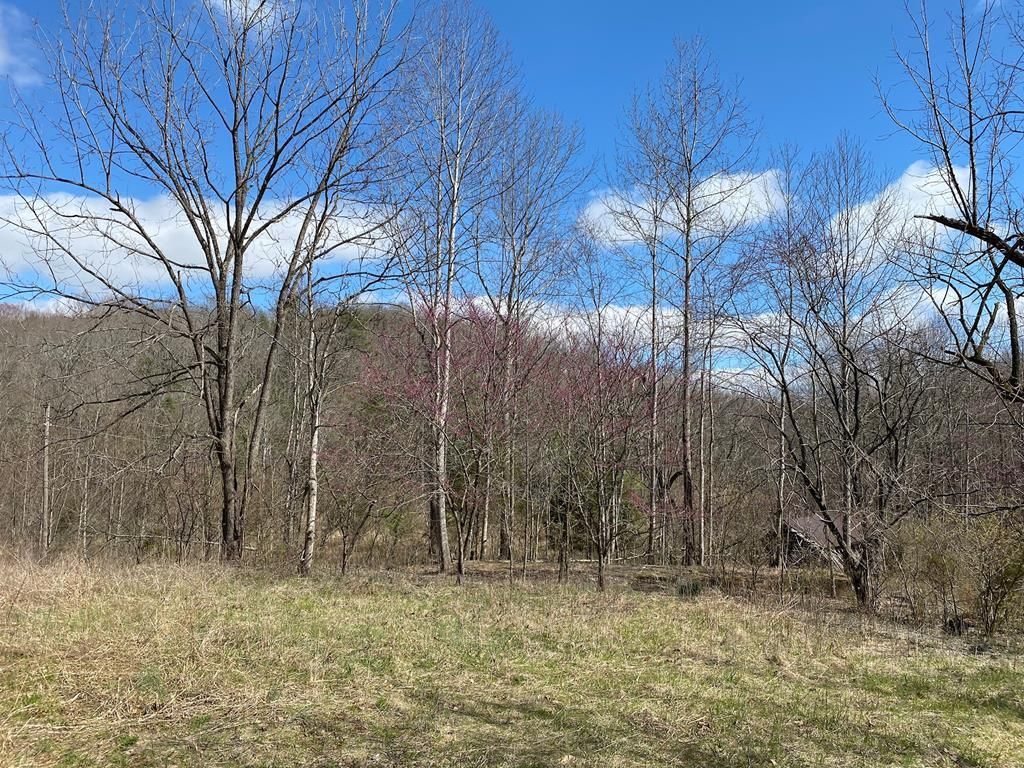 Highway 40, Ferrum, VA 24088 Trulia