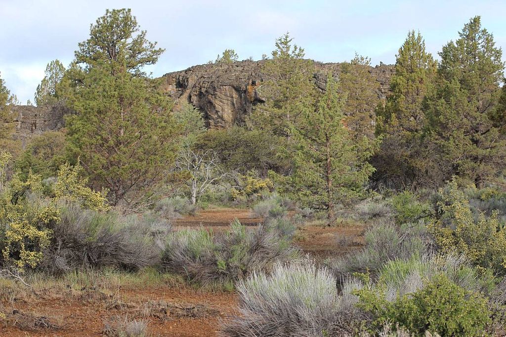 Oregon Pines Rd, Beatty, OR 97621 Trulia