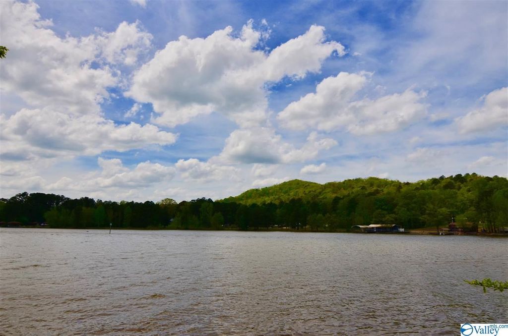 8 Riddles Bend Rd, Rainbow City, AL 35906 Trulia