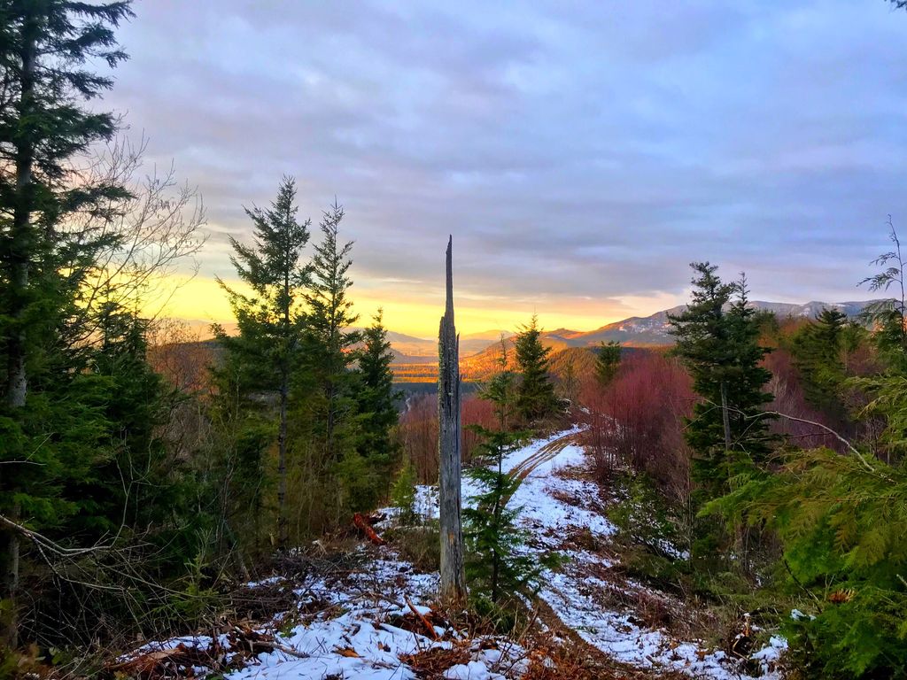 Land Near Lake Walker, Enumclaw, WA 98022 Trulia