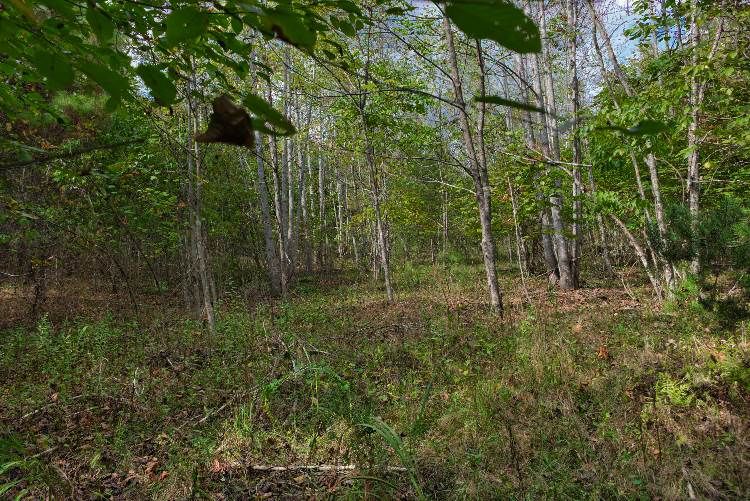 Chimney Creek Ln, Rutherfordton, NC 28139 Trulia