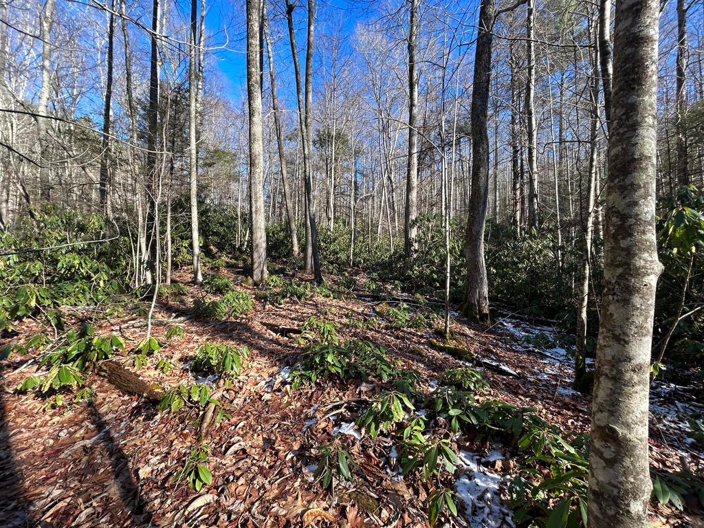 Viking Mountain Rd, Greeneville, TN 37743 See Est. Value, Schools & More