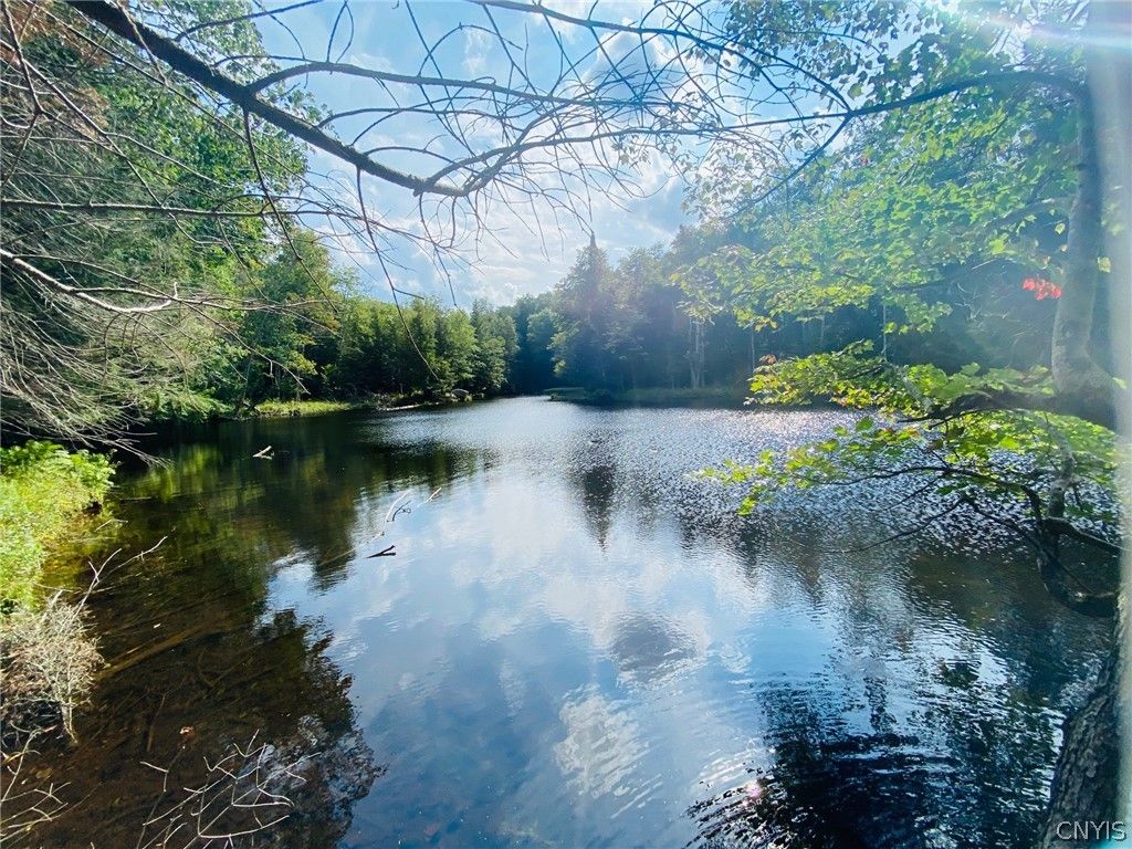 Soft Maple Rd, Croghan, NY 13327 Trulia