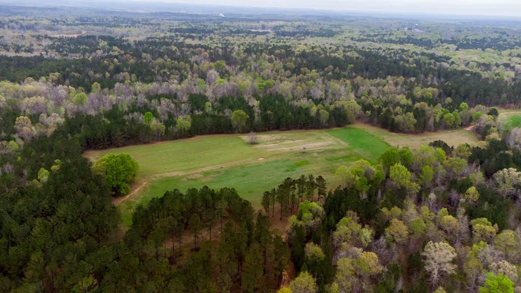 673 Dennis Creek Rd, Talbotton, GA 31827 Trulia