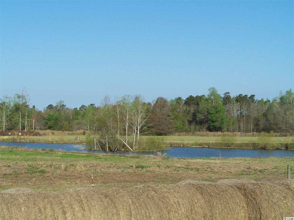 9100 Quarter Horse Dr, Nichols, SC 29581 Trulia