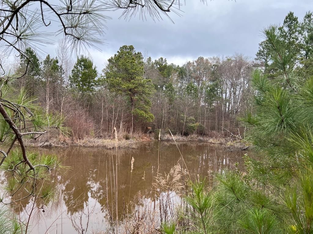 8099 State Highway 155, Palestine, TX 75803 MLS 96707 Trulia