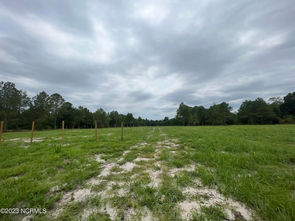 0 Tomahawk Highway Highway, Harrells, NC 28444