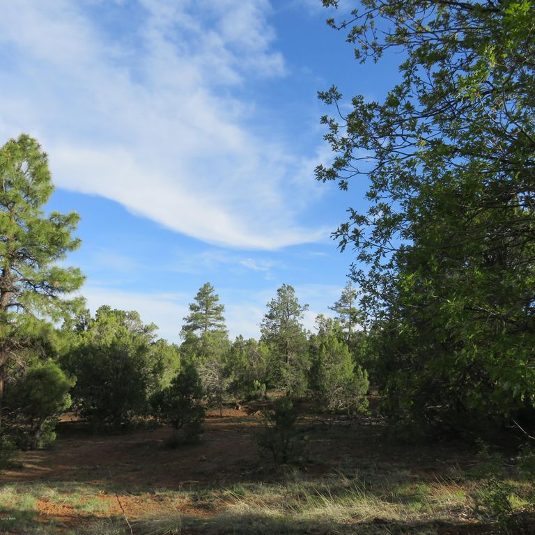 761 W Sierra Pines Dr, Show Low, AZ 85901 Trulia