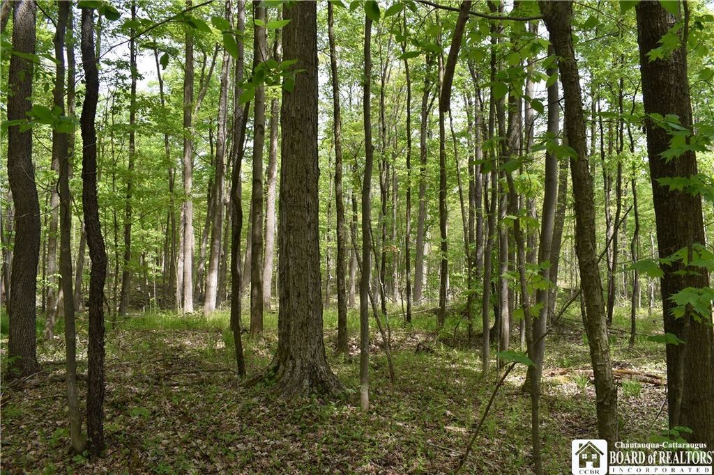 Old Chautauqua Rd, Gerry, NY 14740 Trulia