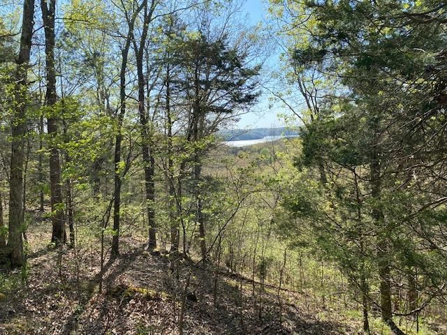 8.61 Ac Willow Ln, Allons, TN 38541