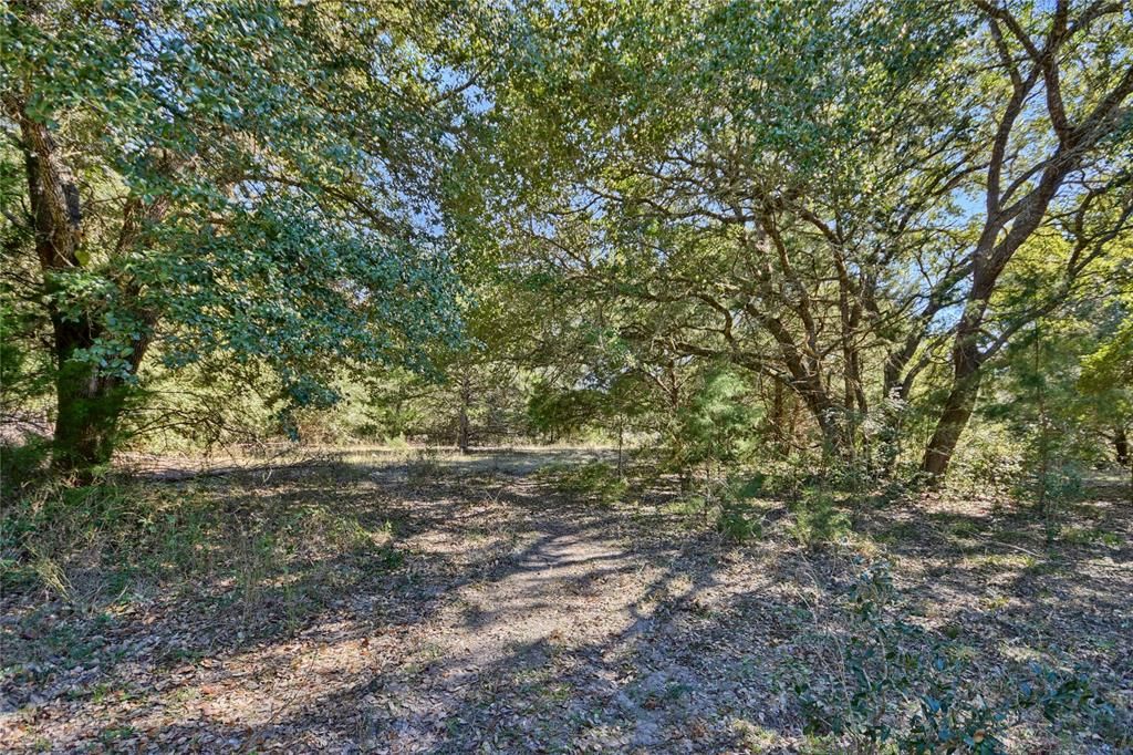 1240 S Weyand Rd #8, Round Top, TX 78954