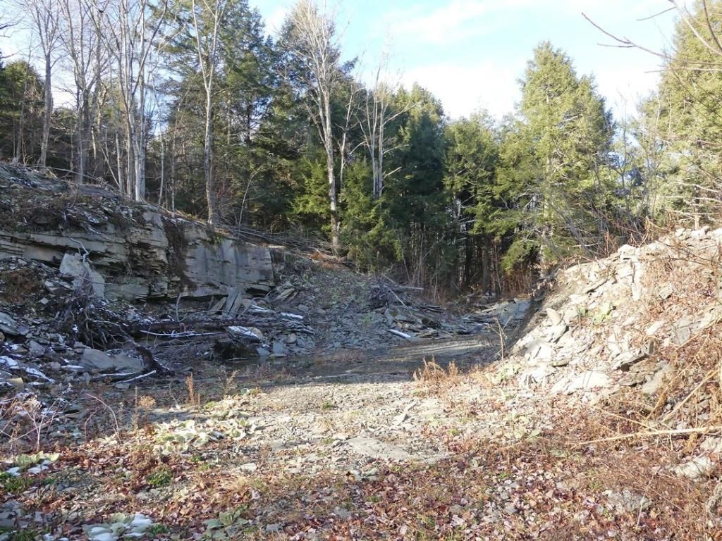 1099 Felton Rd, Andes, NY 13731 Trulia