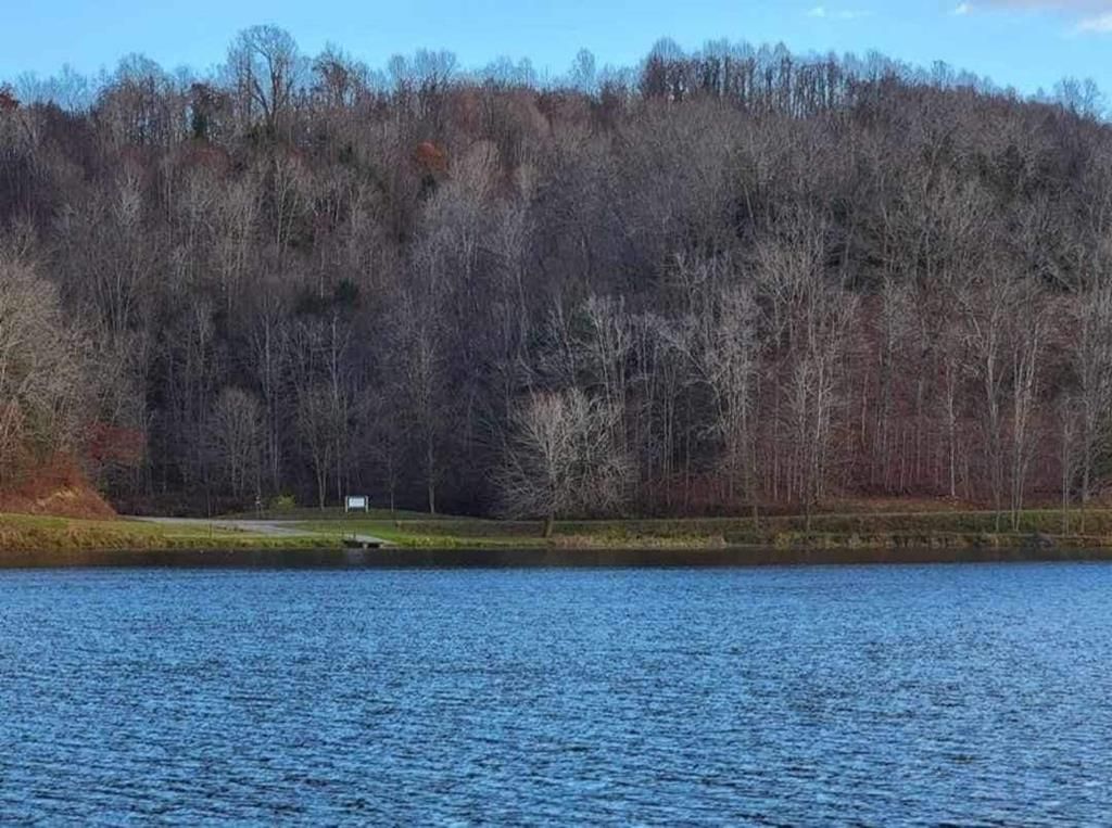 Terry Dr, Falls Mills, VA 24613 MLS 92516 Trulia