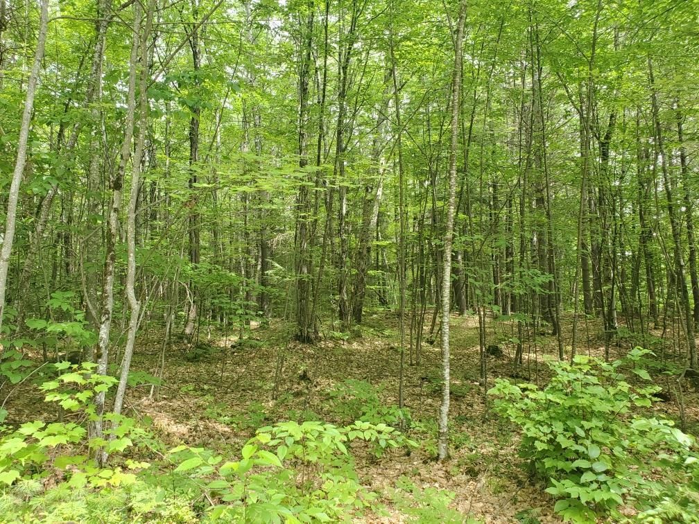 00 Bryant Mill Road, Tamworth, NH 03886 Trulia