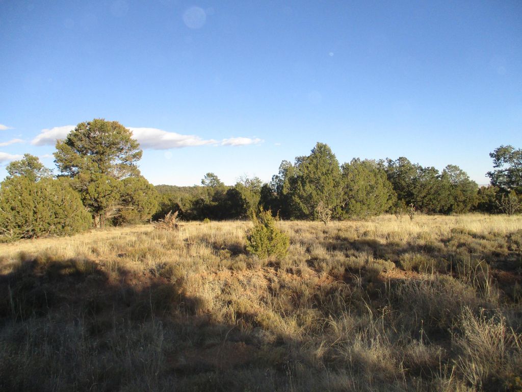 7 Woodland Ct 7, Tijeras, NM 87059 Trulia