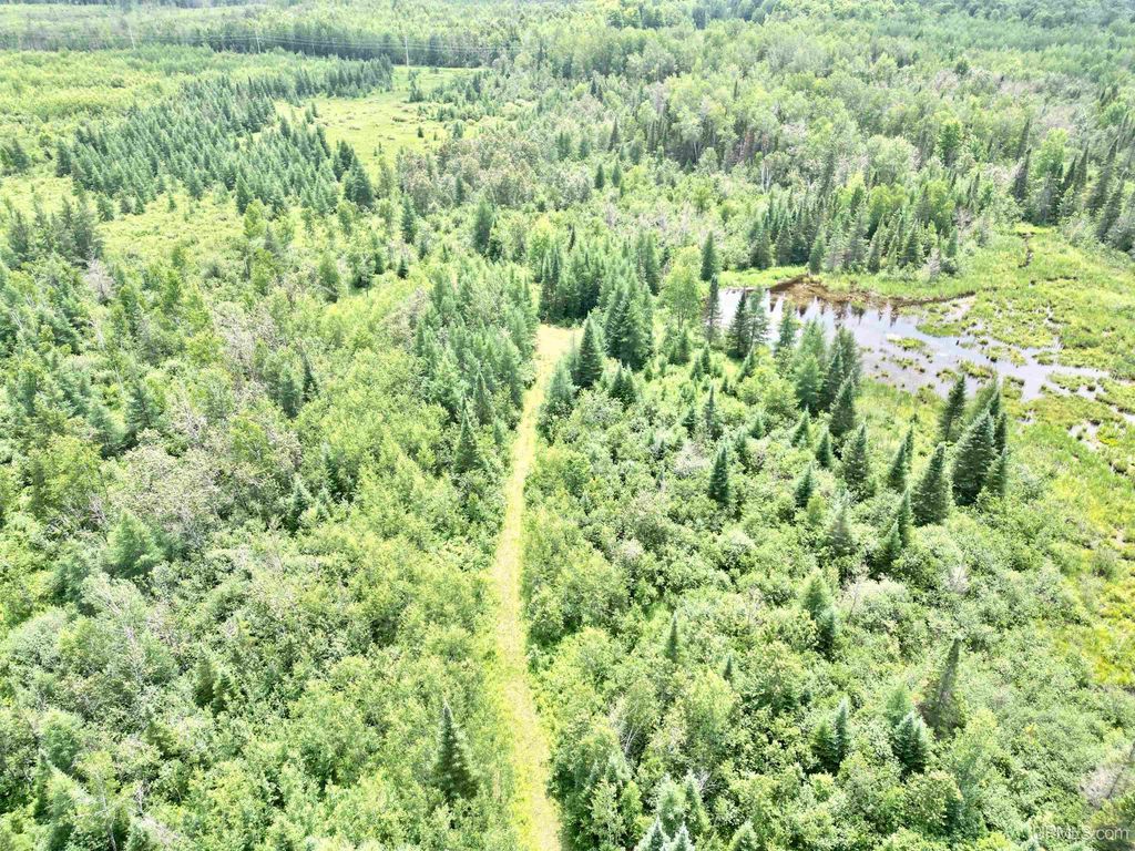 1 Truax D Ln, Cornell, MI 49818 MLS 50096577 Trulia