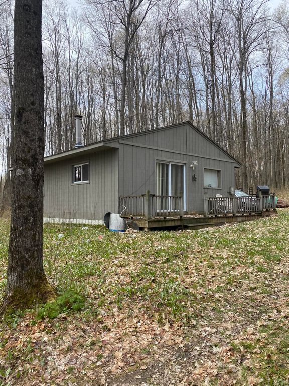 Kim Trl 4, Vanderbilt, MI 49795 Trulia