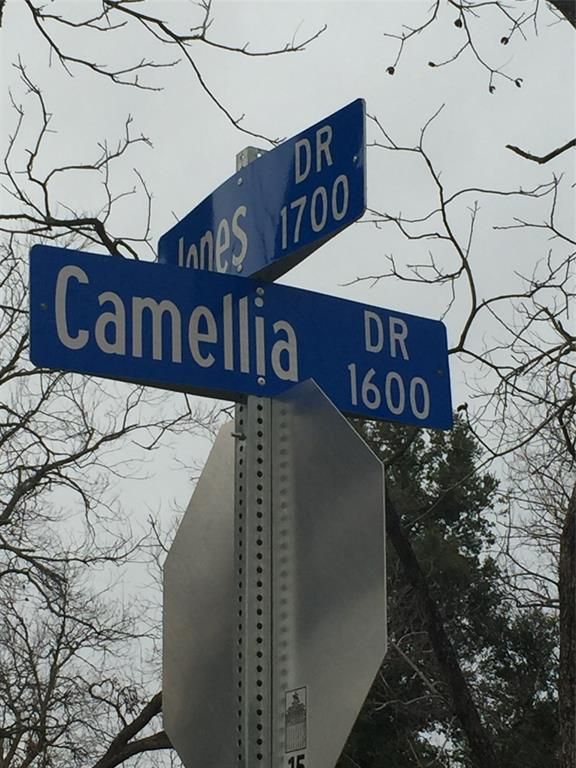 1609 Camellia Dr, Arlington, TX 76013
