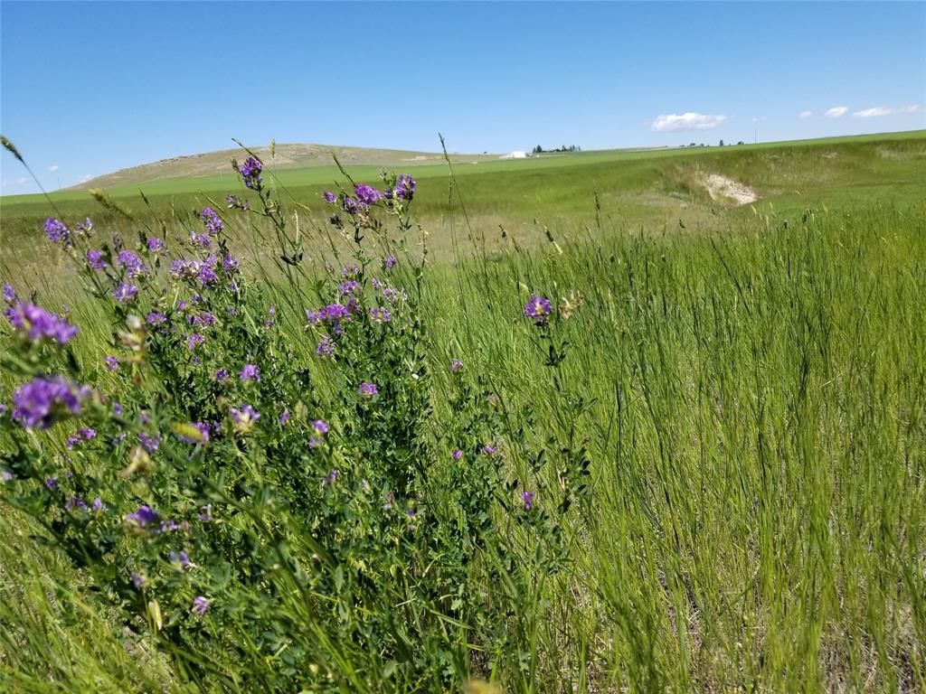 289 Hilltop Vista Loop, Three Forks, MT 59752 Trulia