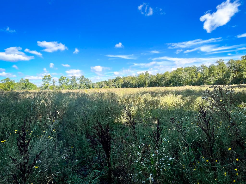 Holden Rd WP001, Locke, NY 13092 MLS 11232049 Trulia