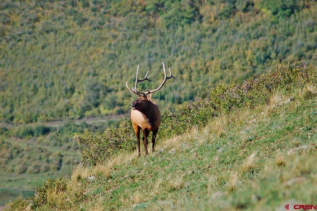 795 Sandy Fort Rd, Norwood, CO 81423
