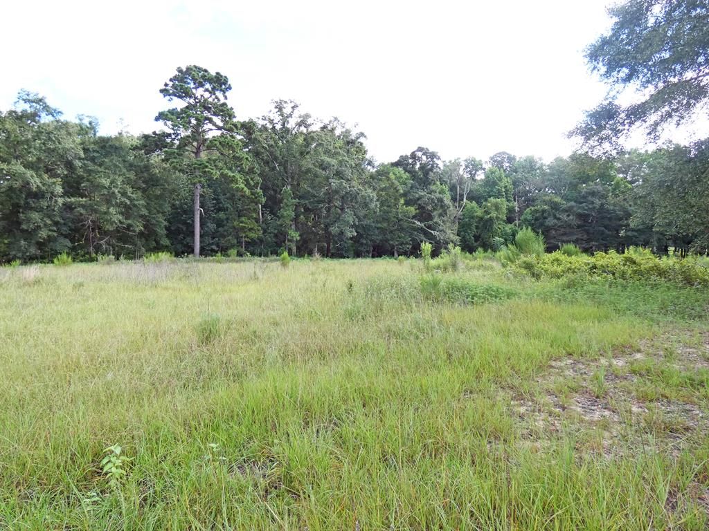 Woods Rd, Headland, AL 36345 Trulia