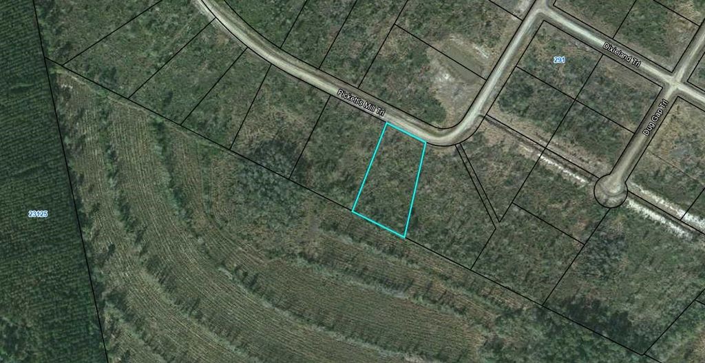 24 Picketts Mill Trl, Waynesville, GA 31566