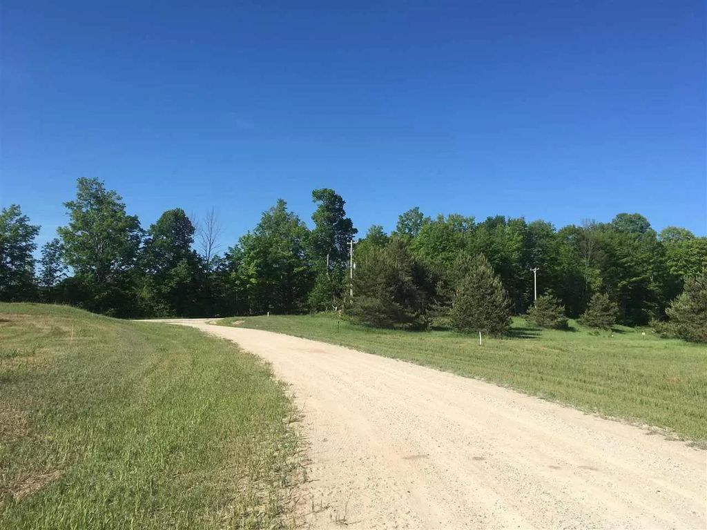 6293 Crooked River Cir, Alanson, MI 49706 Trulia