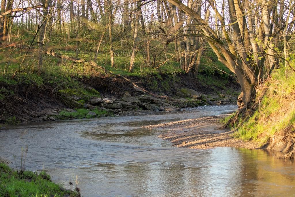 Z Hwy, Ridgeway, MO 64481 Trulia