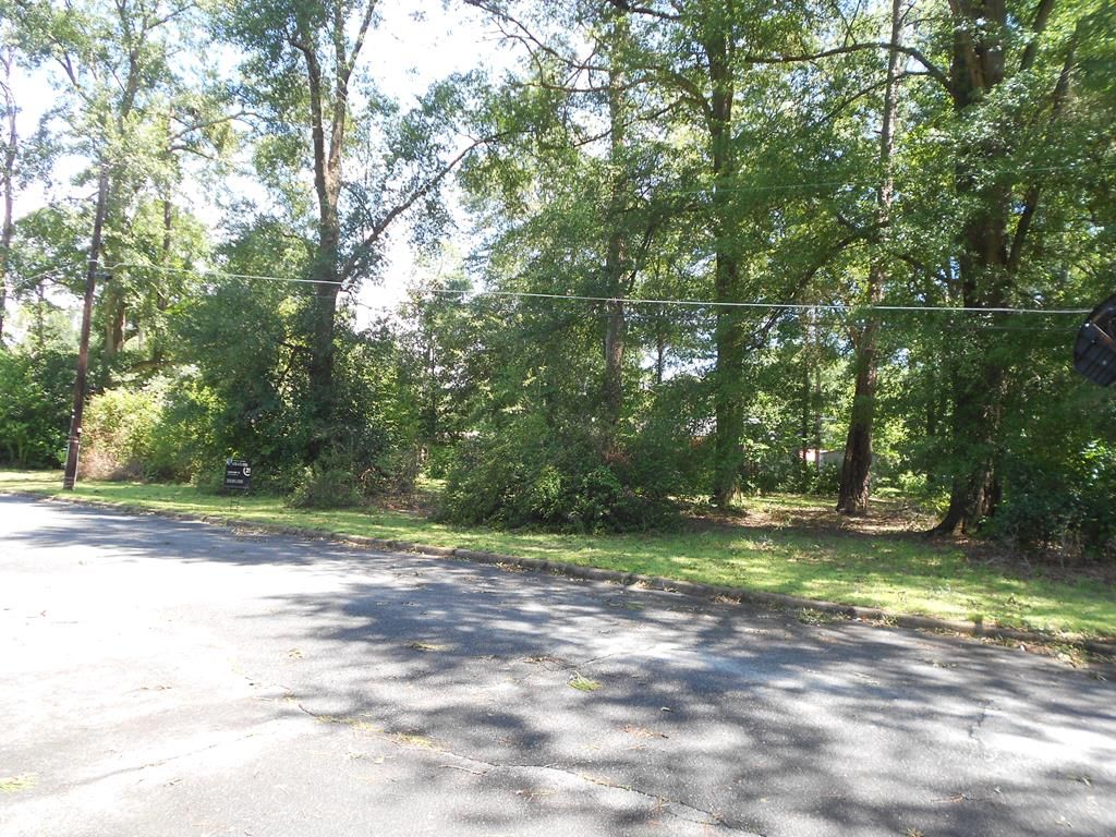 316A Lakeshore Dr, Montezuma, GA 31063 Trulia