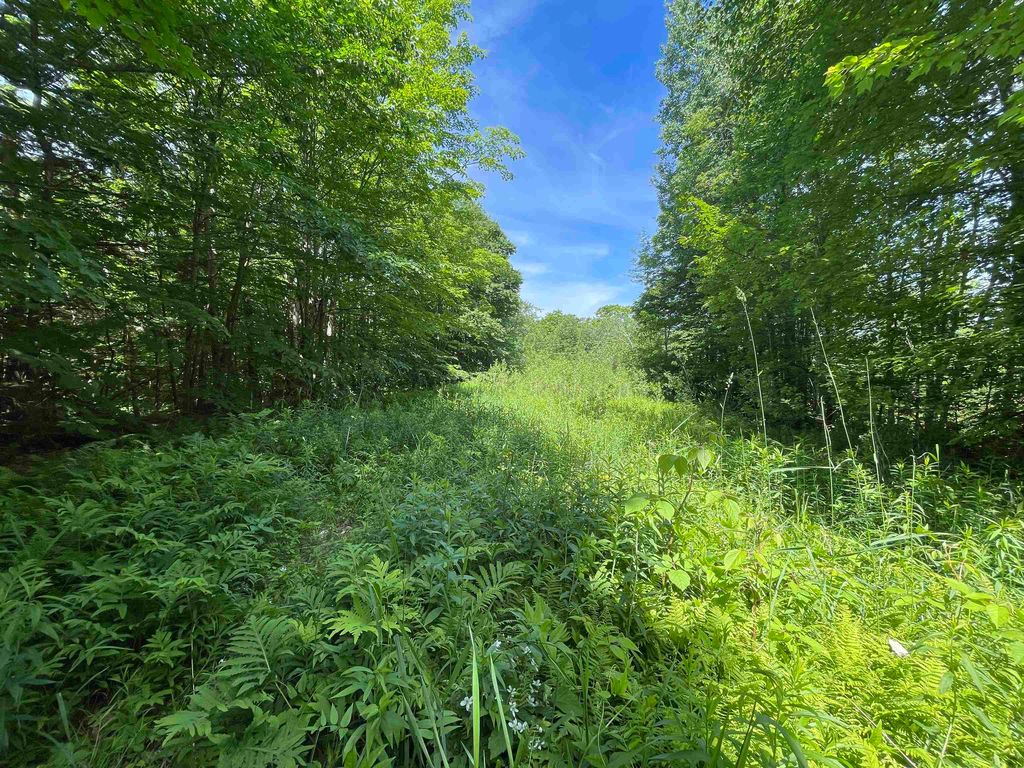 Schuss Road UNIT 30 and 1/2 31, Waitsfield, VT 05673 MLS 5002262